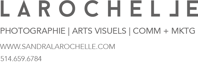 signaturesandralarochelle